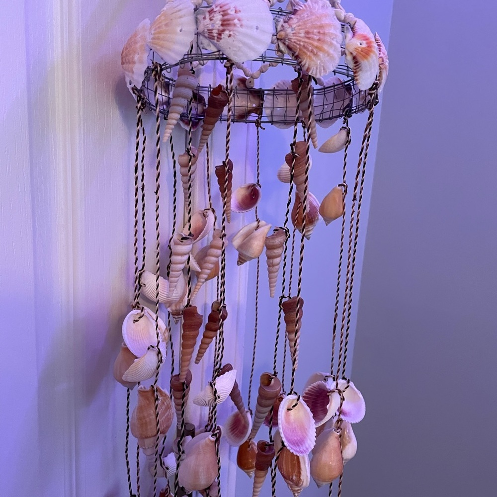 Hanging shell decor - Picture 3 of 6